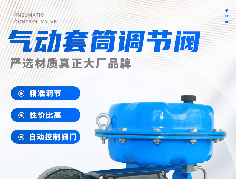 氣動(dòng)套筒調(diào)節(jié)閥-首龍_01.jpg